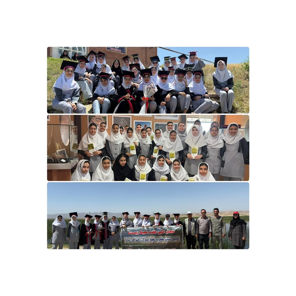 دبستان غیر دولتی ماندگار